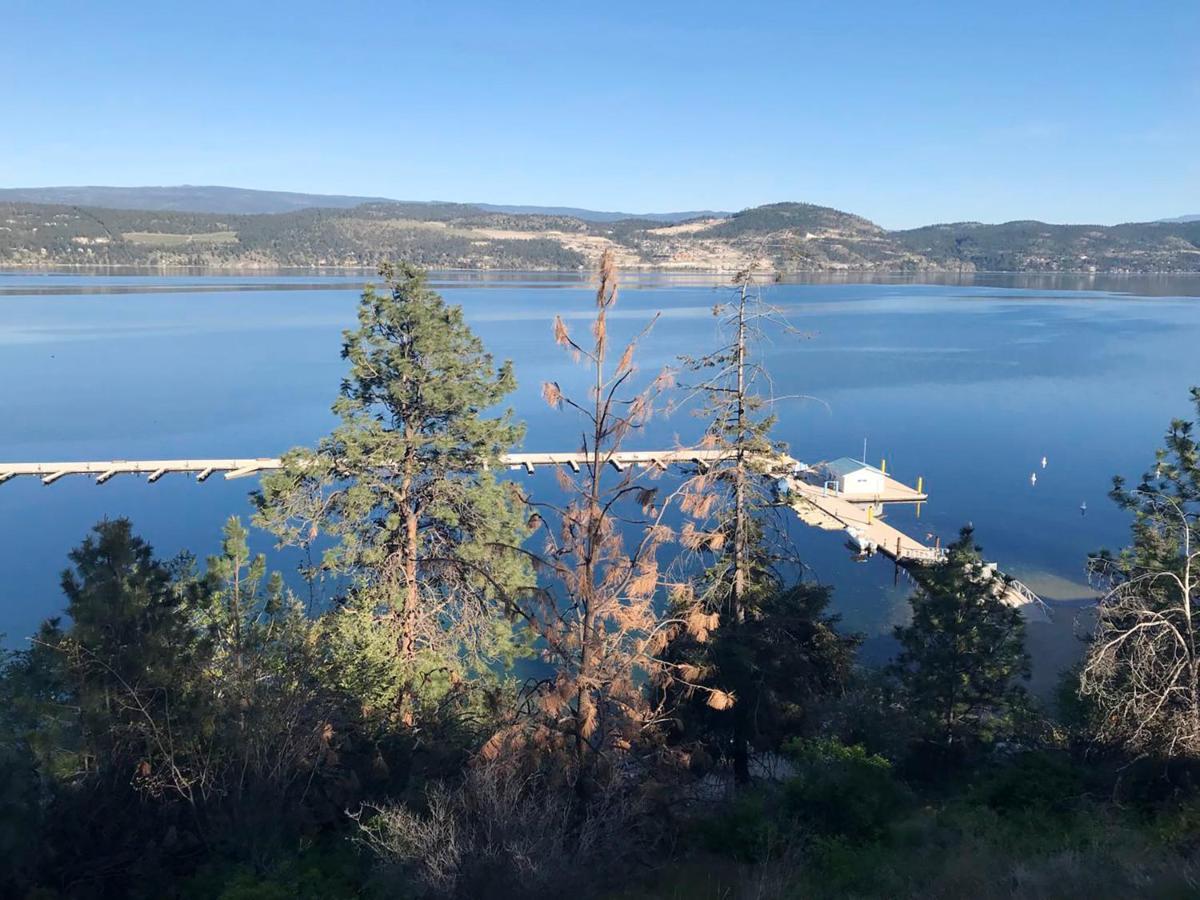קלונה Cozystay Signature Lake Okanagan Resort מראה חיצוני תמונה